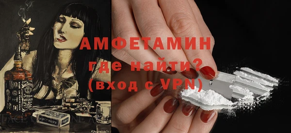 молекула духа Осташков